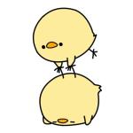 子犬先輩