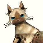 アロフィルド
