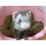 ゆう
