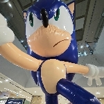 セジン