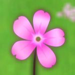 桜えび