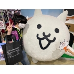 かりう