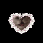 userPhoto