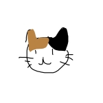 三毛P