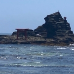 ﾋﾞﾝﾄﾞｩﾝﾄﾞﾝ