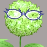 ヒナシキ