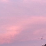 userPhoto