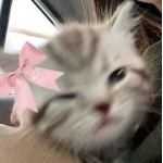 userPhoto