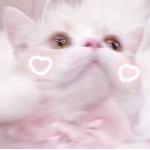 ユーザー画像