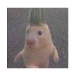 userPhoto