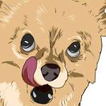 カステラに付いてる紙