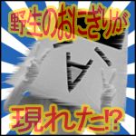 ただのおにぎり星人。