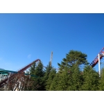 userPhoto