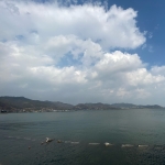 薮坂不成