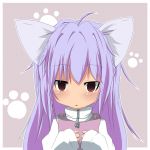 姫海棠スミレ