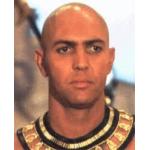 仏テップ
