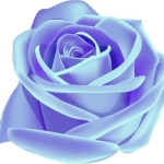 userPhoto