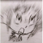 ほーほけほ