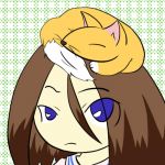 妖狐 ベル