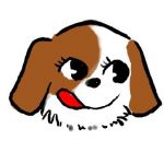 luckylittlechan
