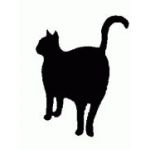 クロ猫