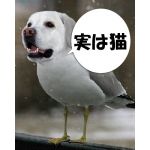 眠人(ミント)