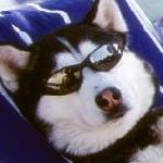 クドリャフカ