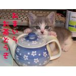 とらじろう