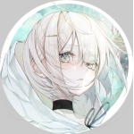 ささみごはん