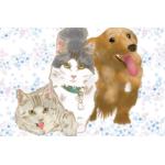 まぐれあたり