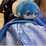 しゃも