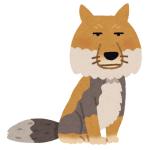 もふ夫