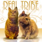 RealTribe