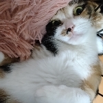 userPhoto