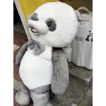 userPhoto