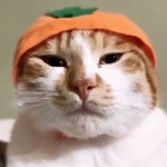 おざなりん。　　　　　　　　　。