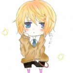 ｡ﾟ＊ちび虎＊ﾟ｡