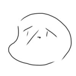 はすぽん