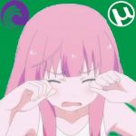 かぼちゃ