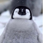 ユーザー画像