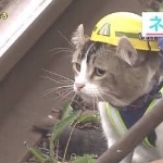 赤べこ丸