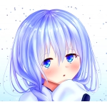しゅレッダー