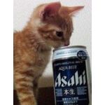 えぬざわ