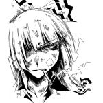 nagara2