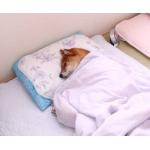 Zzz…(￤3[____]
