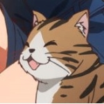 肩々