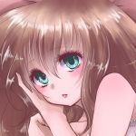 もこもこみかん