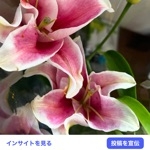 るびー