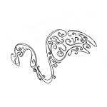 nochi