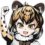 ポロロッケ